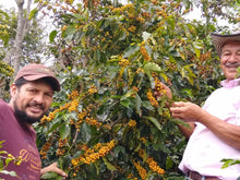 Load image into Gallery viewer, Colombia-La Esperanza Chiroso Washed