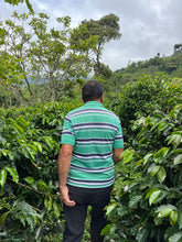 Load image into Gallery viewer, Colombia-La Bohemia Geisha Washed