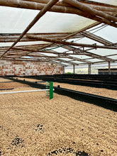 Load image into Gallery viewer, Colombia-El Obraje Geisha Natural