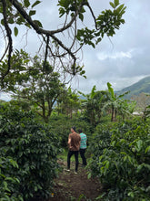 Load image into Gallery viewer, Colombia-La Bohemia Geisha Washed