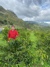 Load image into Gallery viewer, Colombia-El Obraje Geisha Natural