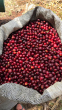 Load image into Gallery viewer, Peru-TRES CEDROS Geisha Washed
