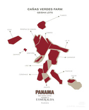 Load image into Gallery viewer, Panama-Hacienda La Esmeralda Special Collection Montaña Geisha 3NC