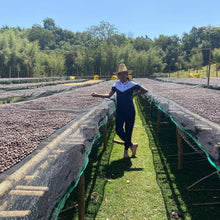 Load image into Gallery viewer, Ethiopia-Alo Coffee-Bona Zuria Washed 74110