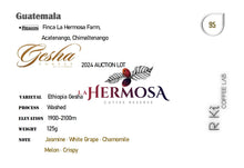 Load image into Gallery viewer, Guatemala-La Hermosa-Gesha Forest 2024 Auction Lot Washed Gesha