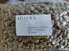 Load image into Gallery viewer, Pre sale 2024 BOP Adaura Coffee Combo (4 Coffee)