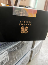 Load image into Gallery viewer, Panama-2024 Lamastus Family Estate Auction Lot #17 Abstract El Burro Geisha Natural ASD