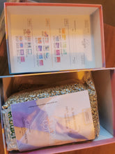 Load image into Gallery viewer, Panama-2024 Lamastus Family Estate Auction Lot #17 Abstract El Burro Geisha Natural ASD