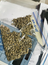 Load image into Gallery viewer, Panama-Finca Nuguo Lot 809 Geisha Washed