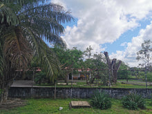 Load image into Gallery viewer, Panama-Finca Nuguo Lot 809 Geisha Washed