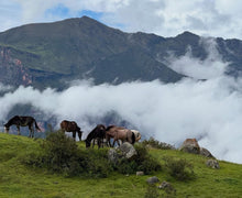 Load image into Gallery viewer, Peru-TRES CEDROS Geisha Washed