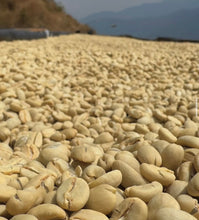 Load image into Gallery viewer, Peru-TRES CEDROS Geisha Washed