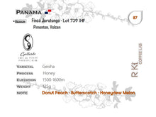 Load image into Gallery viewer, Panama-Finca Jurutungo Lot 793JHF Geisha