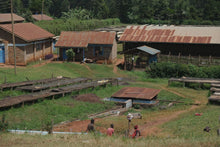 Load image into Gallery viewer, Kenya-Kirinyaga Kii Factory Washed