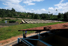 Load image into Gallery viewer, Kenya-Kirinyaga Kii Factory Washed