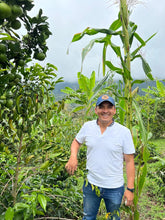 Load image into Gallery viewer, Colombia-La Estrella Farm Geisha Lot 3 Washed