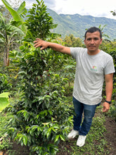 Load image into Gallery viewer, Colombia-La Estrella Farm Geisha Lot 3 Washed