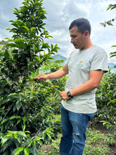 Load image into Gallery viewer, Colombia-La Estrella Farm Geisha Lot 3 Washed