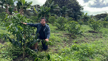 Load image into Gallery viewer, Colombia-La Guadua Geisha Washed Lot 1