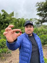 Load image into Gallery viewer, Colombia-La Guadua Geisha Washed Lot 1