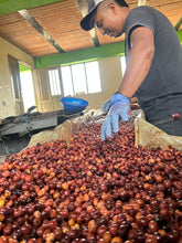 Load image into Gallery viewer, Colombia-Finca La Mina Geisha Washed