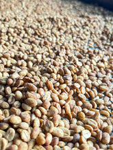 Load image into Gallery viewer, Colombia-Finca La Mina Geisha Washed