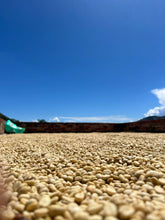 Load image into Gallery viewer, Colombia-Finca La Mina Geisha Washed