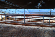 Load image into Gallery viewer, Colombia-Finca La Mina Geisha Washed