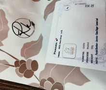 Load image into Gallery viewer, Panama-Janson Farm Lot 115 Geisha Washed 100g