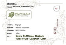 Load image into Gallery viewer, Colombia-Inmaculada Fellows Farms Papayo Natural