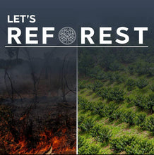 Load image into Gallery viewer, Colombia-Forest Coffee-Geisha Spirits Semi-Washed Anaerobic 125g