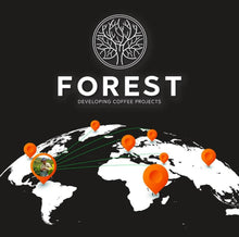 Load image into Gallery viewer, Colombia-Forest Coffee-Geisha Spirits Semi-Washed Anaerobic 125g