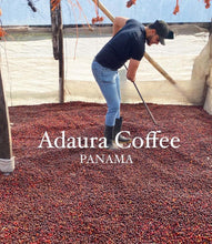 Load image into Gallery viewer, Panama-Adaura-Finca Lorayne-Geisha Washed DR