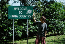 Load image into Gallery viewer, Panama-Janson Farm Lot 589 Geisha Washed