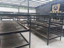 Load image into Gallery viewer, Panama-Altieri Mima Estate ALE Lot 090125 DFC Geisha Natural