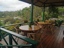 Load image into Gallery viewer, Panama-Janson Farm-Los Alpes Lot 908 Geisha Natural