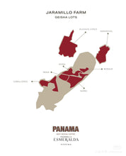 Load image into Gallery viewer, Panama-Hacienda La Esmeralda Special Collection Buenos Aires 6AFB Geisha Washed