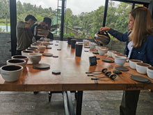 Load image into Gallery viewer, Panama-Hacienda La Esmeralda Special Collection Montaña 6FB Geisha Washed