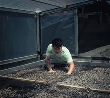 Load image into Gallery viewer, Panama-TNT x Santamaria-Jungle Geisha Natural Lot T558