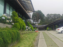 Load image into Gallery viewer, Panama-Altieri Mima Estate ALE Lot 090125 DFC Geisha Natural