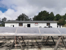 Load image into Gallery viewer, Panama-Janson Farm-Los Alpes Lot 908 Geisha Natural