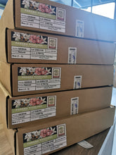 Load image into Gallery viewer, Panama-Woodland Coffee Farm-Geisha Natural Lot GSM-0199