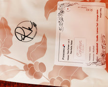 Load image into Gallery viewer, Panama-Finca Carmen Geisha Washed Lot 3
