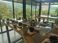 Load image into Gallery viewer, Panama-Altieri Mima Estate ALE Lot 090125 DFC Geisha Natural