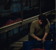 Load image into Gallery viewer, Panama-TNT x Santamaria-Jungle Geisha Natural Lot T558