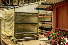 Load image into Gallery viewer, Colombia-Manos Juntas -Gesha Natural Anaerobic 227g