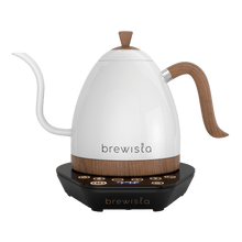 Load image into Gallery viewer, Artisan Electric Gooseneck Kettle