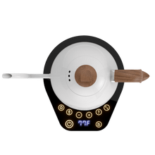 Load image into Gallery viewer, Artisan Electric Gooseneck Kettle