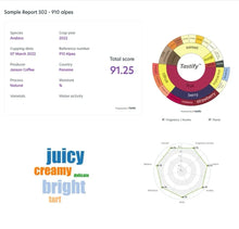 Load image into Gallery viewer, Panama-Janson Farm-Lot 910 Geisha Natural 100g