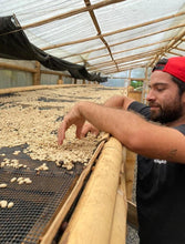 Load image into Gallery viewer, Colombia-Café 1959-Caturron-Carbonic Maceration Natural 227g